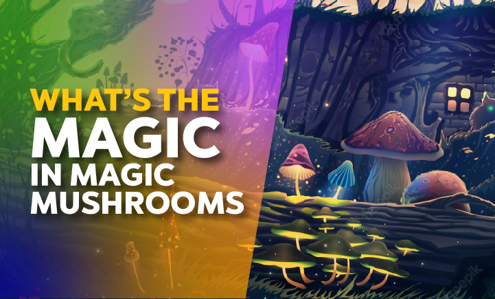 whats the magic in magic mushrooms